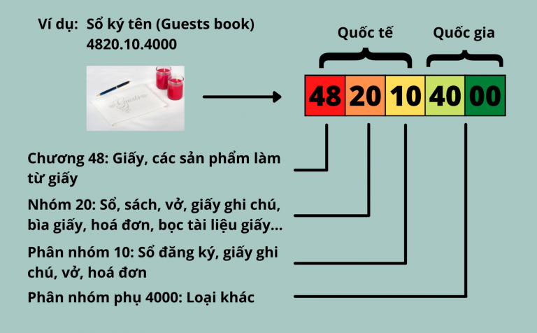 Phân biệt HS Code và HTS Code - MBF
