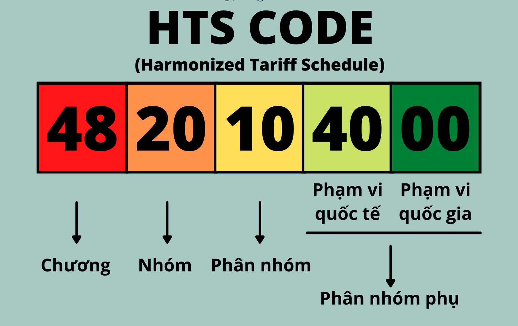 Cấu trúc HS code